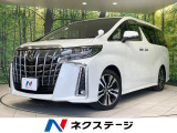 禁煙車 サンルーフ BIG-X11型 両側電動ドア 後席モニター