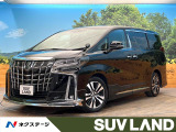 純正10インチナビ モデリスタフルエアロ 両側電動スライドドア