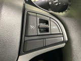 【クルーズコントロール】高速道路もラクラク走行。アクセルを離しても一定速度で走行ができ、長距離運転時の負担を軽減!加速・減速も簡単なスイッチ操作で調整できます。