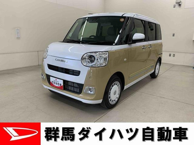 ムーヴキャンバス ストライプス G