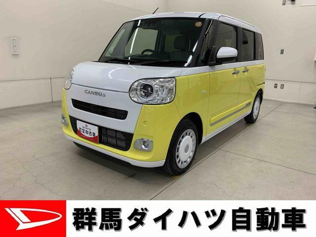 ムーヴキャンバス  ストライプス G