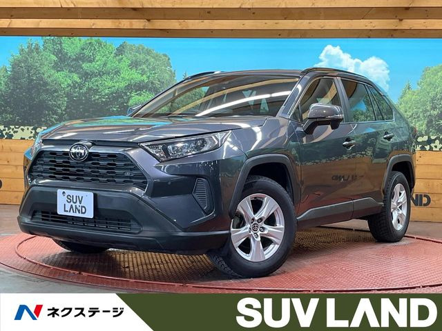RAV42.0 X