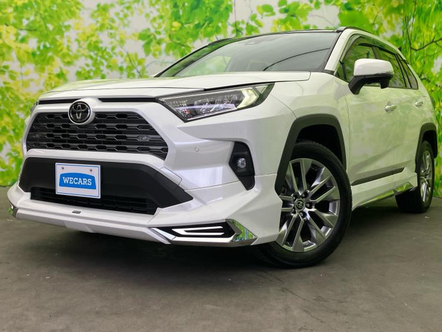RAV42.0 G Zパッケージ 4WD