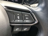 レーダークルーズコントロールを装備。アクセルやブレーキを操作しなくても、自動で先行車との車間距離を保ち追従走行できます。長距離や高速道路を運転する際に、ドライバーへの負担を軽減します。