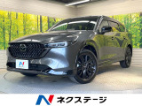 メーカー10.25型ナビ 全周囲カメラ 衝突被害軽減システム ETC