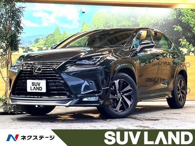 NX 300 ブロンズ エディション 特別仕様車