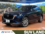 レーダークルーズ 禁煙車 電動リアゲート レザーシート シートヒーター