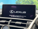 NX 300h スパイス&シック 