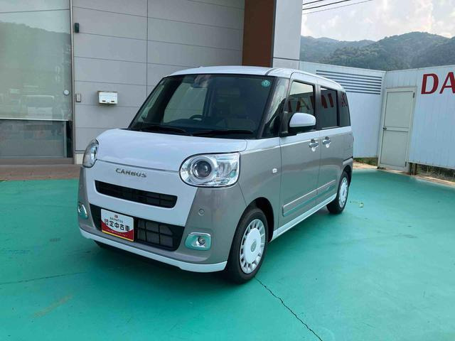 ムーヴキャンバス  ストライプス G