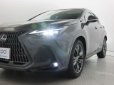 NX 250 バージョンL NX 250 バージョンL