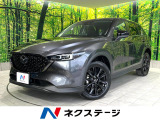 禁煙車 純正10.25型ナビ 全周囲カメラ レーダークルーズ