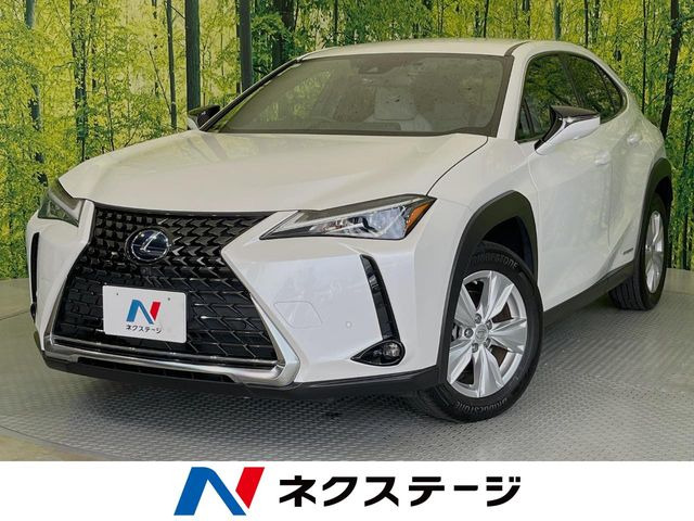 UX 250h バージョンC 