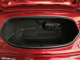 独立型トランク。深さと奥行きを確保しています。
