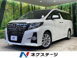 BIG-X10型ナビ フリップダウンモニター 両側電動ドア 禁煙車