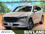 BOSEサウンド 10型ナビ 全周囲カメラ レーダークルーズ ETC