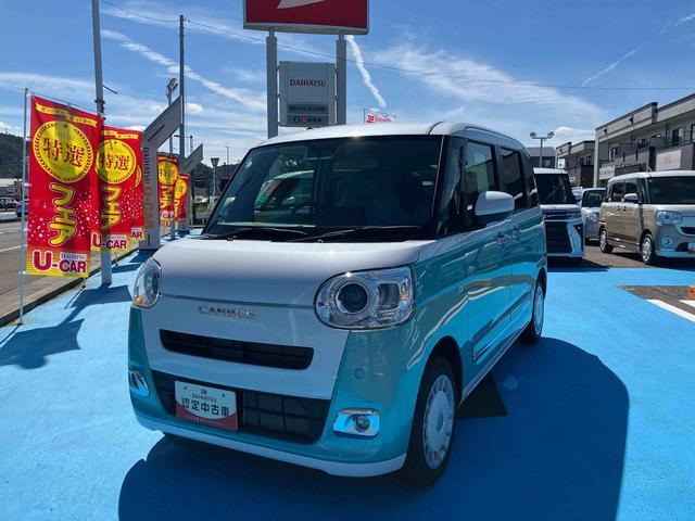 ムーヴキャンバス  ストライプス G