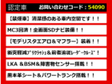 LS 600h バージョンL 4WD 全画面SDナビ モデリスタエアロ