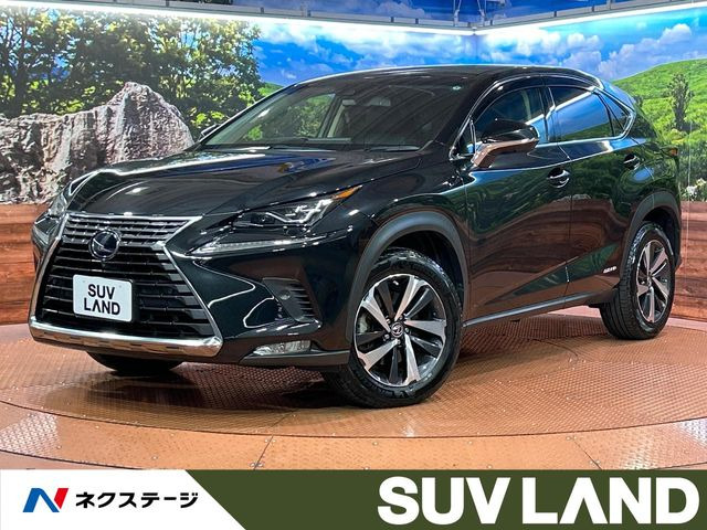 NX 300h バージョンL 