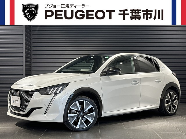 e-208 GT 