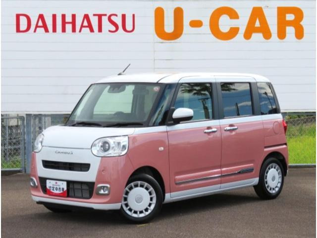 ムーヴキャンバス  ストライプス G