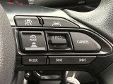 前方の車との車間を設定し、スピードを上げたり緩めたりを自動で行ってくれる追尾式の「レーダークルーズ」。上級装備の一つです!高級車にしかつかない嬉しい機能です。