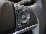 ◆アダプティブクルーズコントロール◆予め設定した車速内でクルマが自動的に加減速。前走車との適切な車間距離を維持しながら追従走行します。【LKAS】車線維持支援システムでステアリング操作を支援。