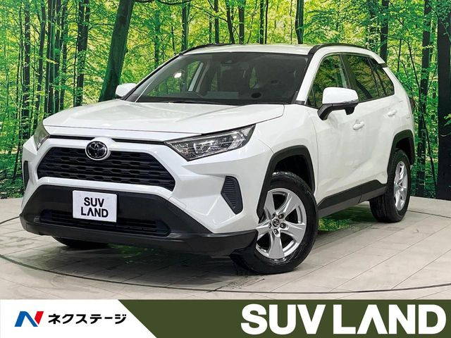 RAV42.0 X
