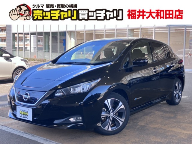 リーフ G 