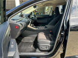NX 300h 