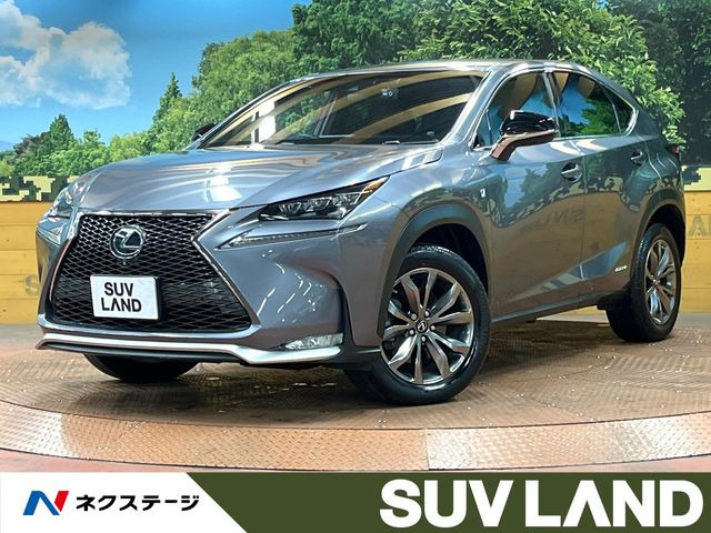 NX 300h Fスポーツ 