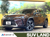 10.3インチメーカーナビ 全周囲カメラ プリクラッシュセーフティ