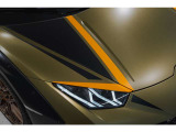 Sterrato Livery on Front Bonnet and Roof