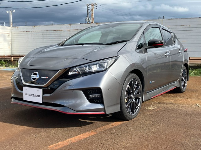 リーフ  NISMO