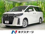 サンルーフ 純正SDナビ 衝突被害軽減システム 両側電動ドア ETC