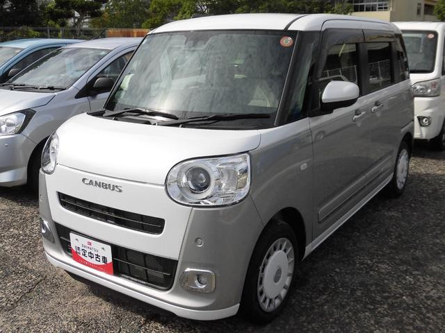 ムーヴキャンバス  ストライプス G