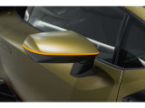 Side mirrors painted in body color/black