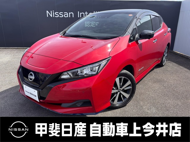 リーフ e+ X 