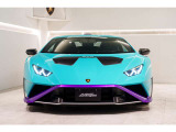 Cofango parts in visible Carbon Fiber Matt