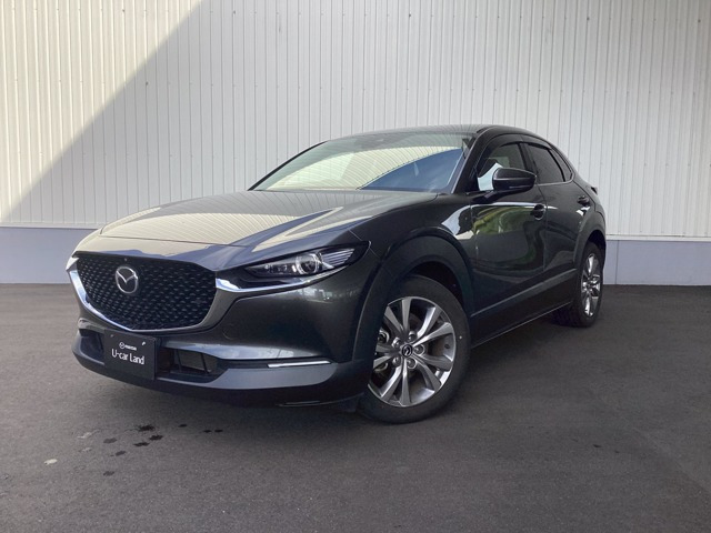 CX-30  20S TS PKG