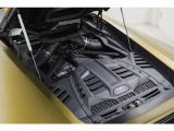 Main Paint - Verde Gea