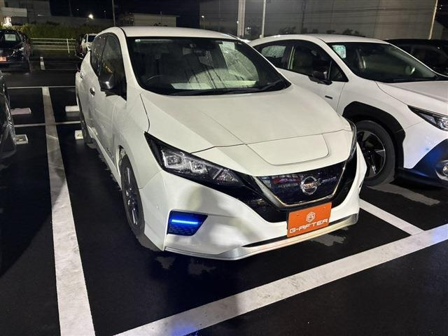 リーフ e+ AUTECH プロパイロット寒冷地仕様全周囲カメラLED