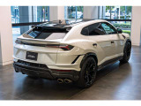 Roof in Shiny Carbon