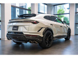 Roof in Shiny Carbon