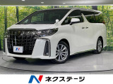 両側電動ドア 後席モニター バックカメラ 寒冷地仕様