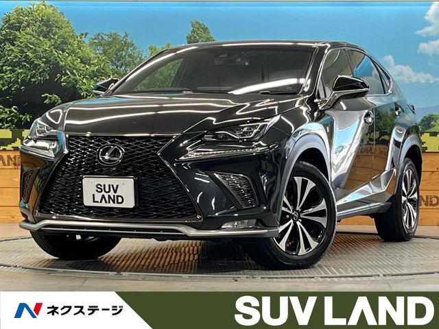 NX 300 Fスポーツ 