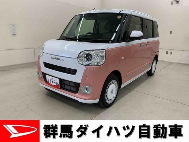 ムーヴキャンバス  ストライプス G