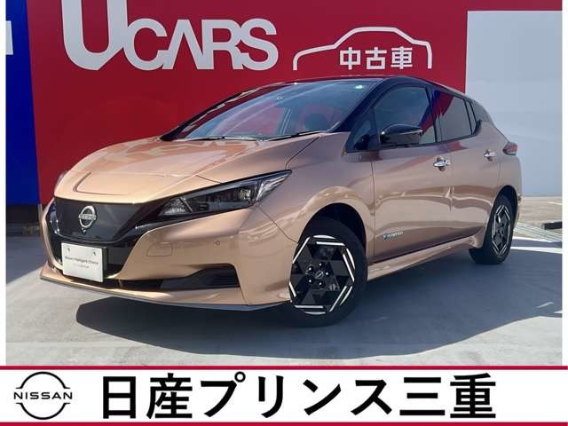 リーフ e+ X 