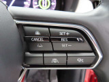 前車追従機能付のレーダークルーズ付きです。車間距離を自動調節し、アクセル操作の労力を軽減します。長距離を帰省される方には、特にお奨めですよ。