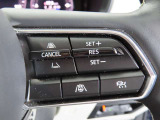 前車追従機能付のレーダークルーズ付きです。車間距離を自動調節し、アクセル操作の労力を軽減します。長距離を帰省される方には、特にお奨めですよ。