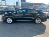 HS 250h 